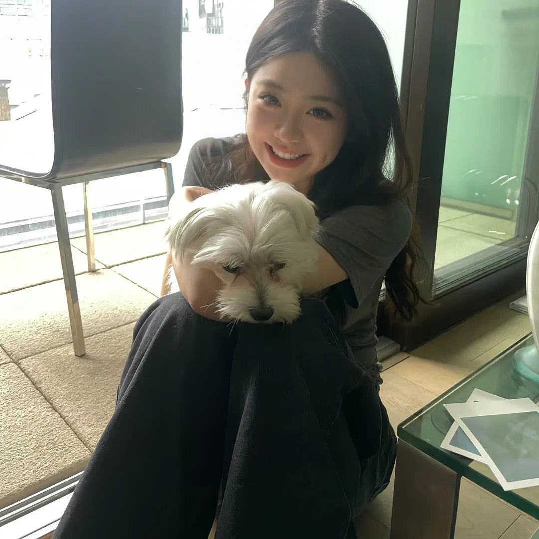 热砂中的坦克军团