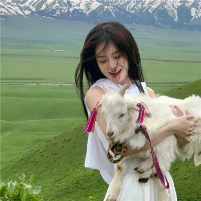 我的丫鬟是总监